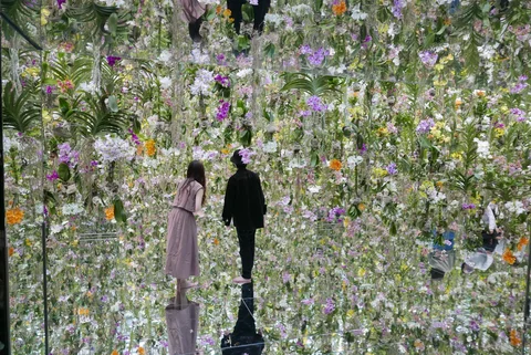 TeamLab Planets TOKYO