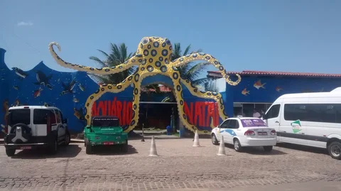 Aquário Natal