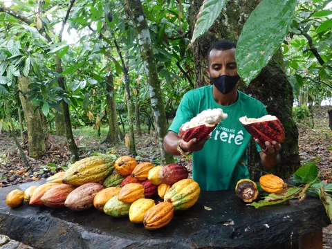 Fazenda Yrere