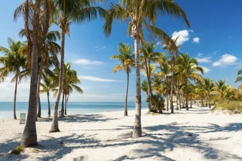 Crandon Park Beach