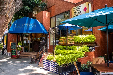 Villa Maria Polanco