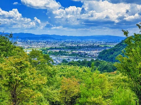 Mount Ogura Trail