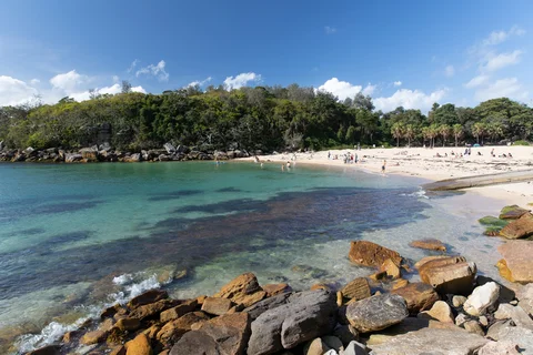 Shelly Beach
