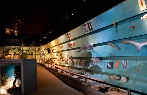 Museo Civico di Storia Naturale