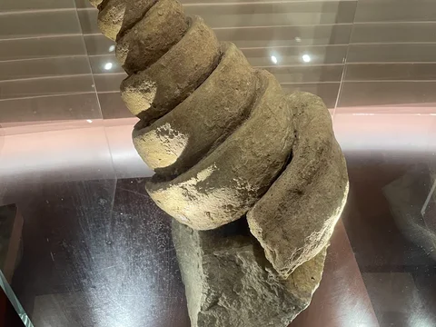 T Fondaco dei Tedeschi