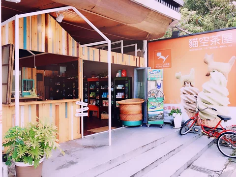 Maokong Gondola and Tea Plantations