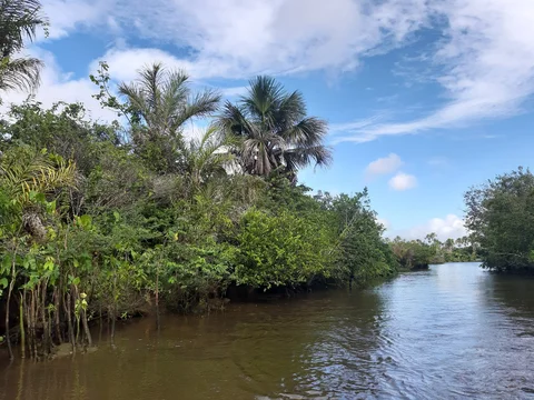 Rio Preguicas