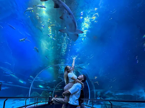 AquaRio
