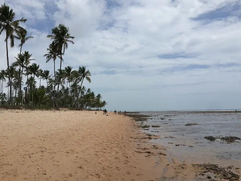 Praia do Lord