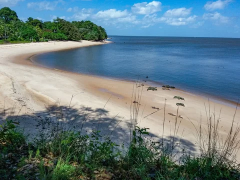 Ilha de Cotijuba