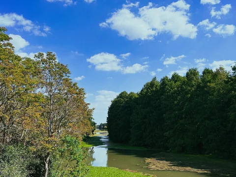 Haiwan National Forest Park