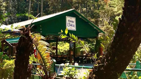 Restaurante Dona Chica