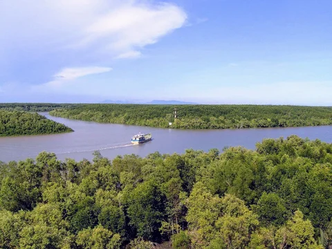 Can Gio Mangrove Biosphere Reserve