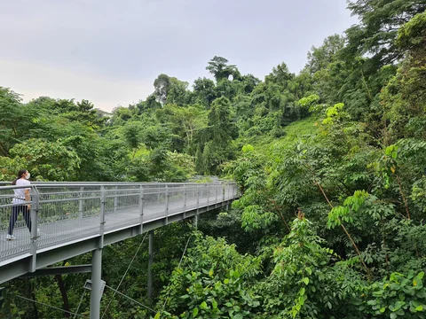 The Southern Ridges