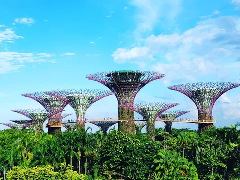 Gardens by the Bay (Cloud Forest e Flower Dome)