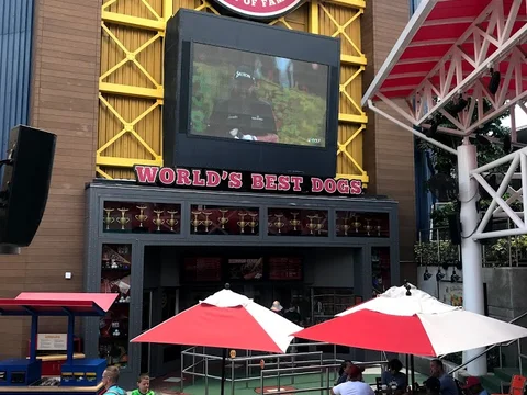 Hot Dog Hall of Fame