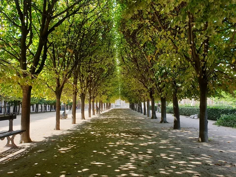 Palais Royal e Jardins des Tuileries