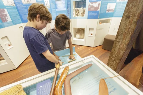 The Rocks Discovery Museum