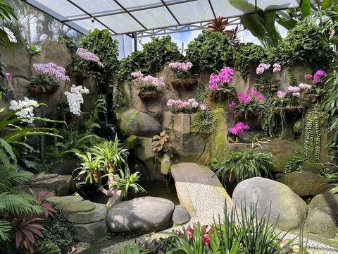 Bali Orchid Garden