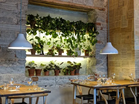 Restoran Rataskaevu 16