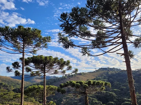 Parque Estadual de Campos do Jordao