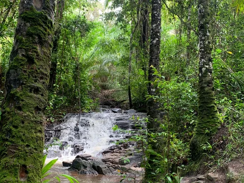 Reserva Ecológica de Sapiranga