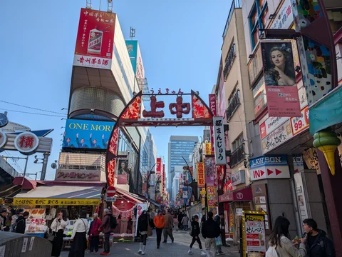 Ameya-Yokocho Market (Ameyoko)