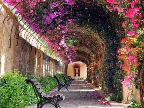 Jardines de Monforte