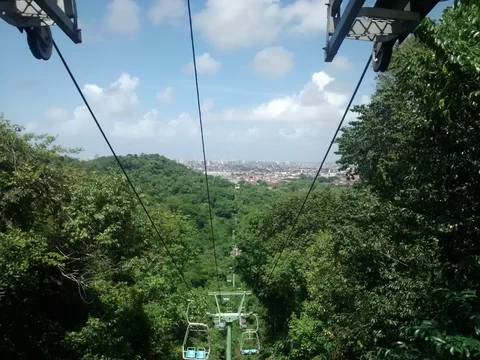 Parque da Cidade