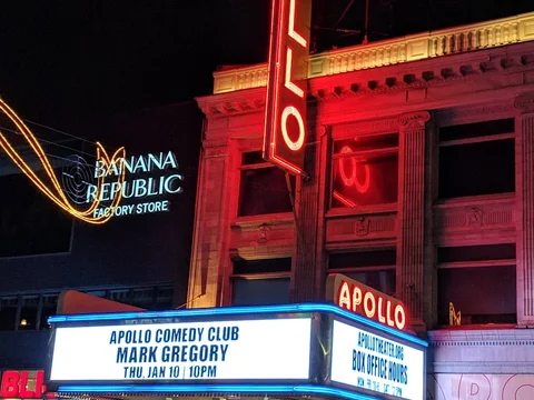 Harlem (Apollo Theater e Schomburg Center)