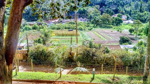 Circuito Rural Orgânico do Brejal