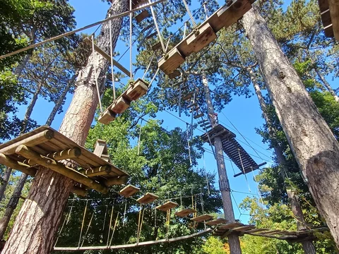 Waldseilpark Kahlenberg