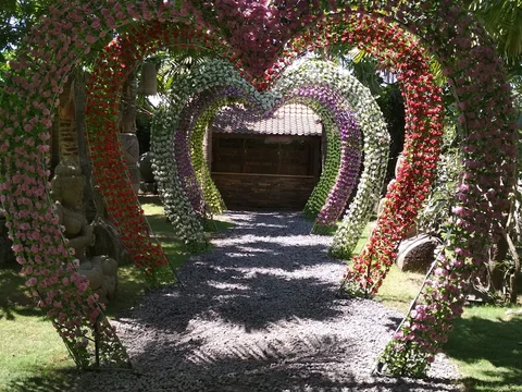 Big Garden Corner