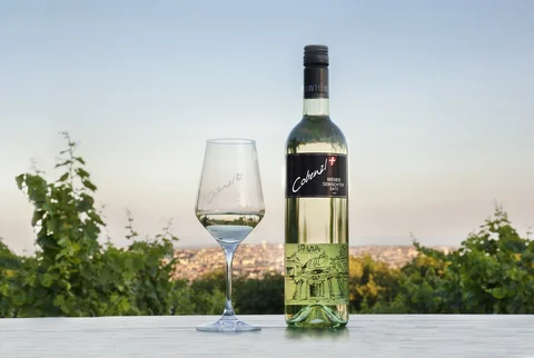 Weingut Cobenzl