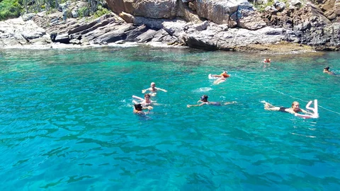 Ilha do Papagaio