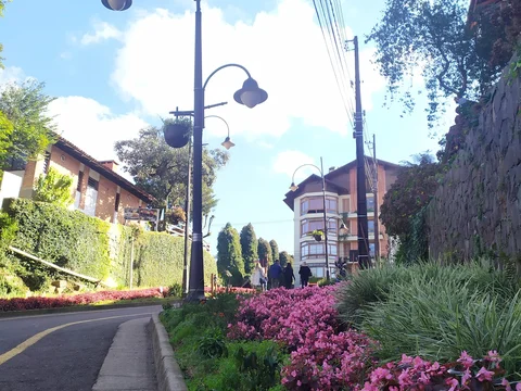 Rua Torta