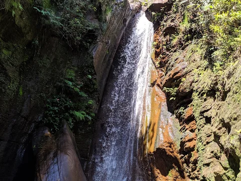 Parque Natural Municipal das Andorinhas