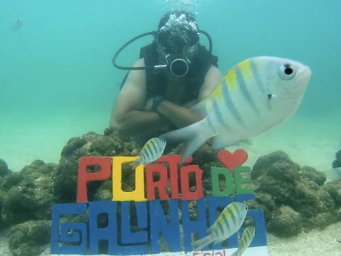 Aysso Scuba Dive