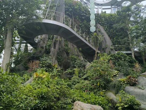Shanghai Botanical Garden