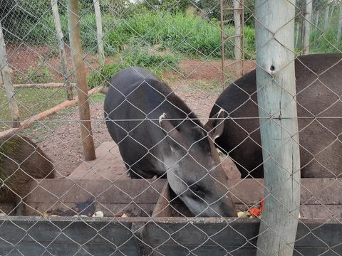 Bio Park Bonito