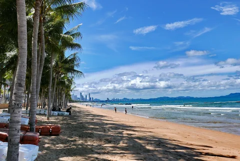 Dongtan Beach