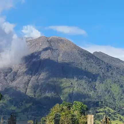 Café Turrialba