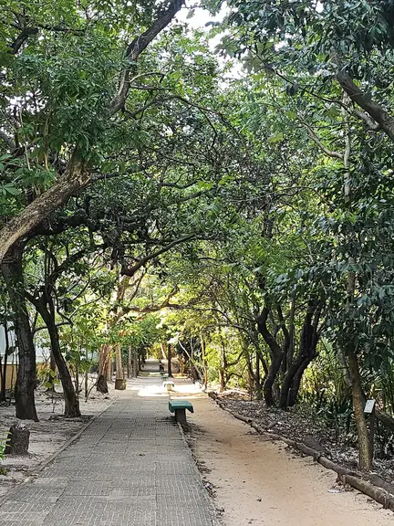 Parque do Cocó