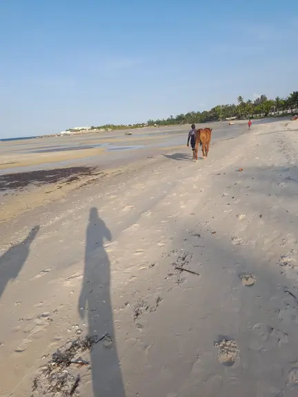 Praia de Vilanculos