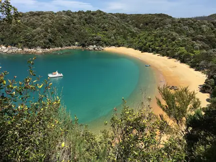 Te Pukatea Campsite