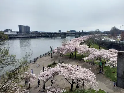 Tom McCall Waterfront Park