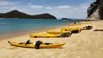 Observation Beach