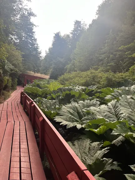 Termas Geométricas