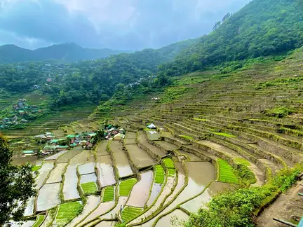 Batad Rice Terraces
