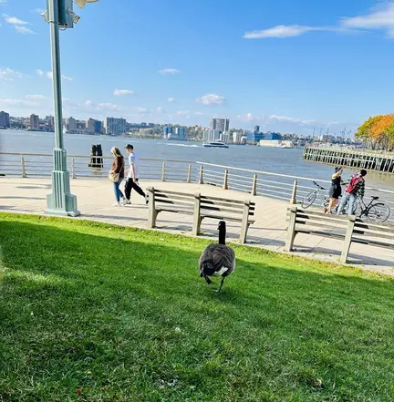 Hudson River Park